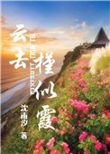 云去槿似霞小说