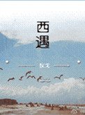 西遇小说