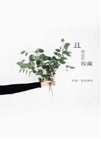 且将记忆收藏小说