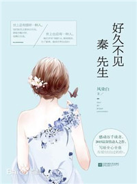 好久不见，秦先生小说