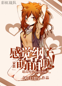 [家教]感觉纲子萌萌哒！小说