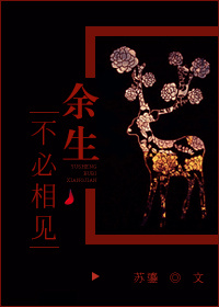 余生不必相见小说