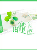 旧情自燃小说