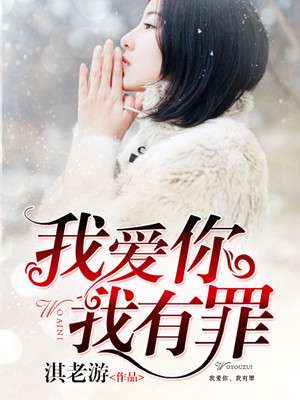 我爱你，我有罪小说