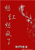 想红想疯了[娱乐圈]小说