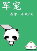 军宠（军旅高干）小说