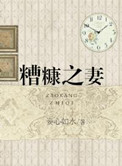 糟糠之妻小说