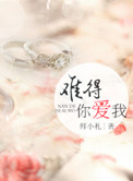 难得爱浓（难得你爱我）小说