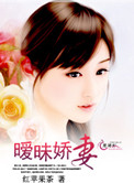 暧昧娇妻小说