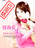 借我爱一生小说