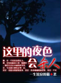 这里的夜色会杀人小说