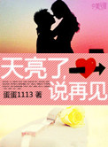 天亮了，说再见小说