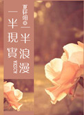 一半现实一半浪漫小说