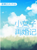 小女子再婚记小说