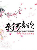 奈何喜欢小说