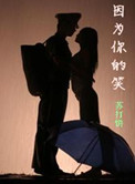因为你的笑（军文）小说