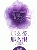 那么爱，那么恨小说
