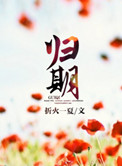 归期（离婚后的故事）小说