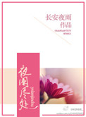 夜阑尽处小说