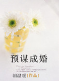 预谋成婚小说