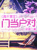 门当户对（高干宠文）小说