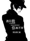 遇见我，你真不幸小说