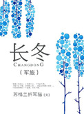 长冬（军旅）小说