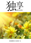独享小说