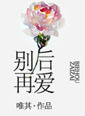 别后再爱小说
