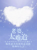 老婆，太难追小说