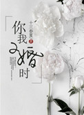 你我二婚时小说