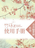 竹马使用手册小说
