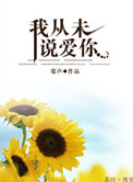 我从未说爱你小说