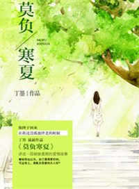 莫负寒夏小说