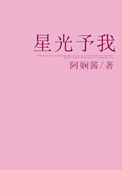 星光予我小说