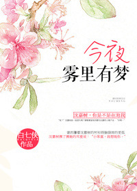 今夜雾里有梦小说