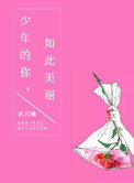 少年的你，如此美丽小说