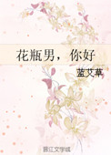 花瓶男，你好小说