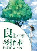 良琴择木小说