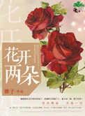 花开两朵小说