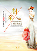 婚后宠爱之相亲以后小说
