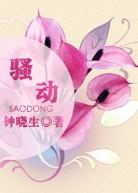 骚动(你好,前任先生)小说