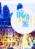 前情可鉴（娱乐圈）小说