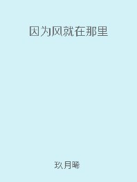 因为风就在那里小说