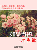 如果当初我勇敢小说