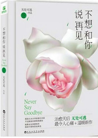 不想和你说再见小说