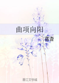 曲项向阳小说