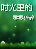 时光里的零零碎碎（第一、二季）小说