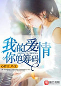 我的爱情，你的筹码小说
