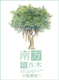 南方有乔木小说